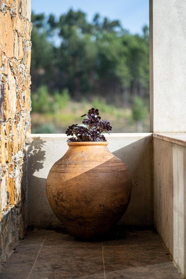 Willa Quinta Da Palhota Vila de Rei Zewnętrze zdjęcie